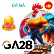 f8bet Game 04